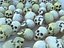 3D Skull  Pack 21 model
