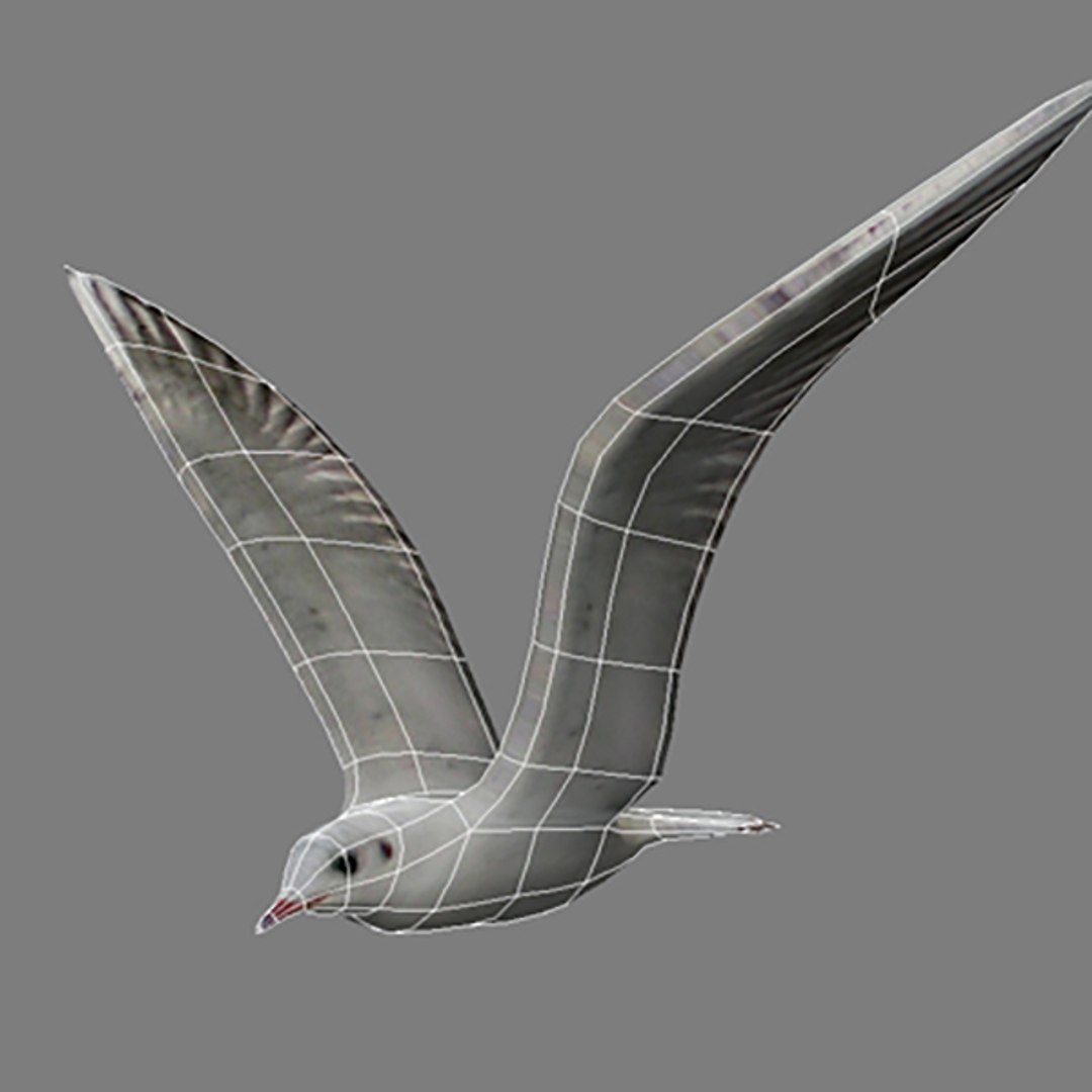 jhonatan livingstone 3d model https://p.turbosquid.com/ts-thumb/fx/T2Hl7G/WWQpxKmA/222/jpg/1587613726/1920x1080/fit_q87/0e311bc2acbea6a844225c254464de07420f4adf/222.jpg