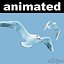 Seagull - OLD VERSION