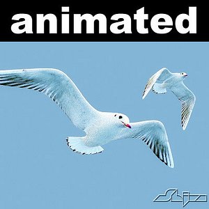 Seagull - OLD VERSION