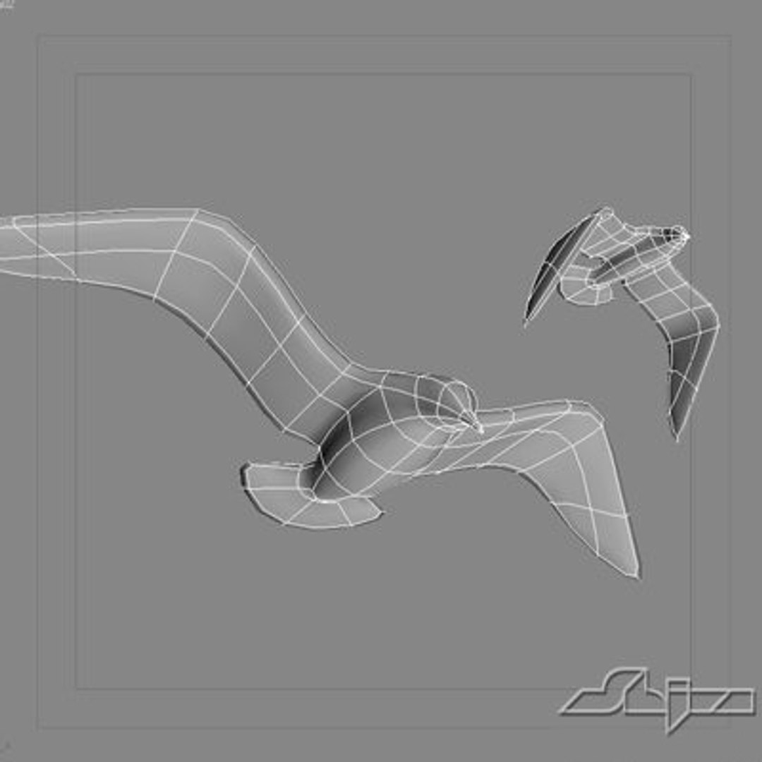 jhonatan livingstone 3d model https://p.turbosquid.com/ts-thumb/fx/T2Hl7G/vZI4kjYU/wire/jpg/1190815747/1920x1080/fit_q87/6637052b277d4549bc9322c28192fc6134e76ca6/wire.jpg