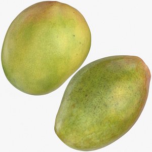 Mangos Collection 03