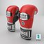 PUNCH Trophy Getters Boxing Gloves  Sparring  8K