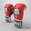 PUNCH Trophy Getters Boxing Gloves  Sparring  8K