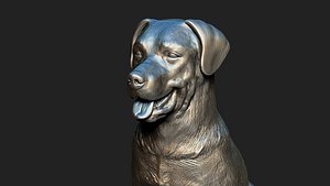 great swiss mountain dog 3D model