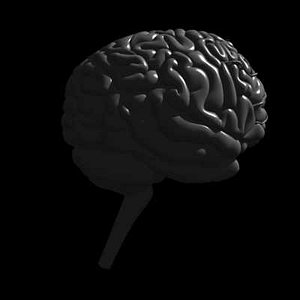 BRAINbis Carrara5