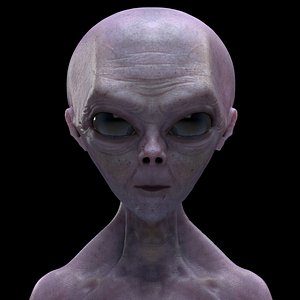 3D model grey alien