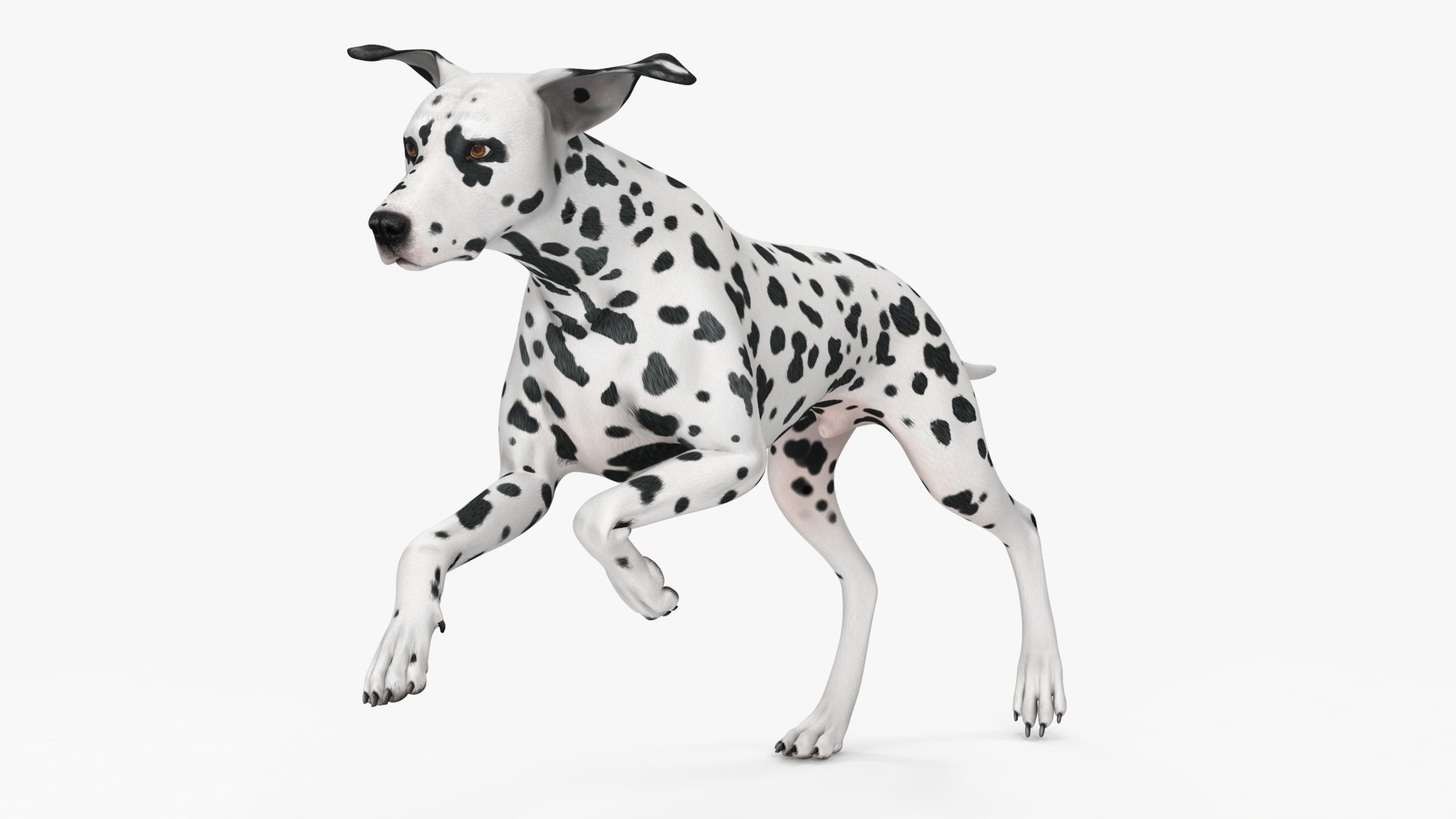 Running Spotted Dalmatian Dog 3D Model - TurboSquid 2230730