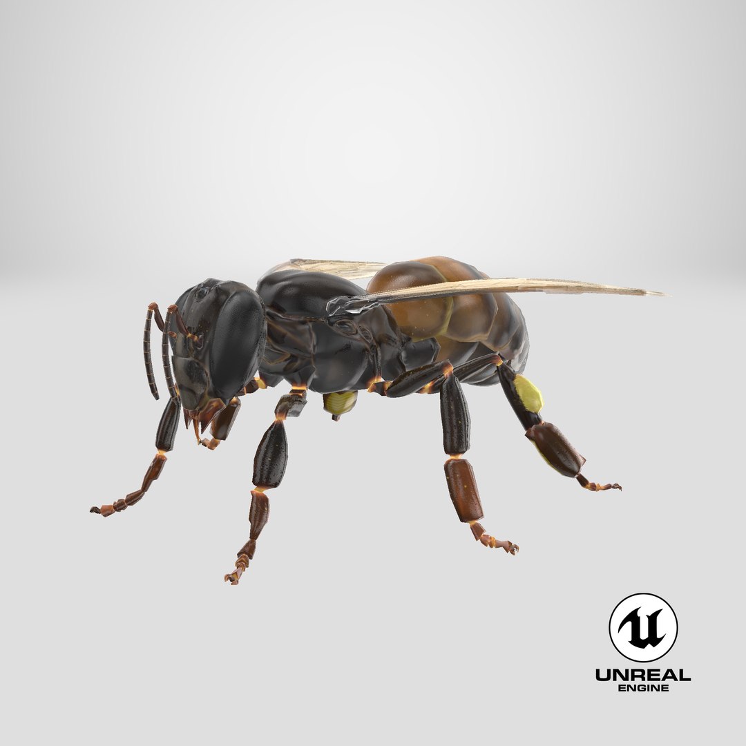 3d honey bee https://p.turbosquid.com/ts-thumb/fy/FbMddI/57/stemcell_unreal_render/png/1657643525/1920x1080/fit_q87/88740bb333bdc4218a9f90650ddd14c782405644/stemcell_unreal_render.jpg
