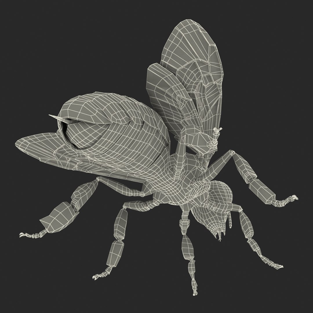 3d honey bee https://p.turbosquid.com/ts-thumb/fy/FbMddI/5iEtwPQr/honeybee3dmodel44/jpg/1455268687/1920x1080/fit_q87/2a155ea2600be34b81040cecce706f03eefe0f5b/honeybee3dmodel44.jpg