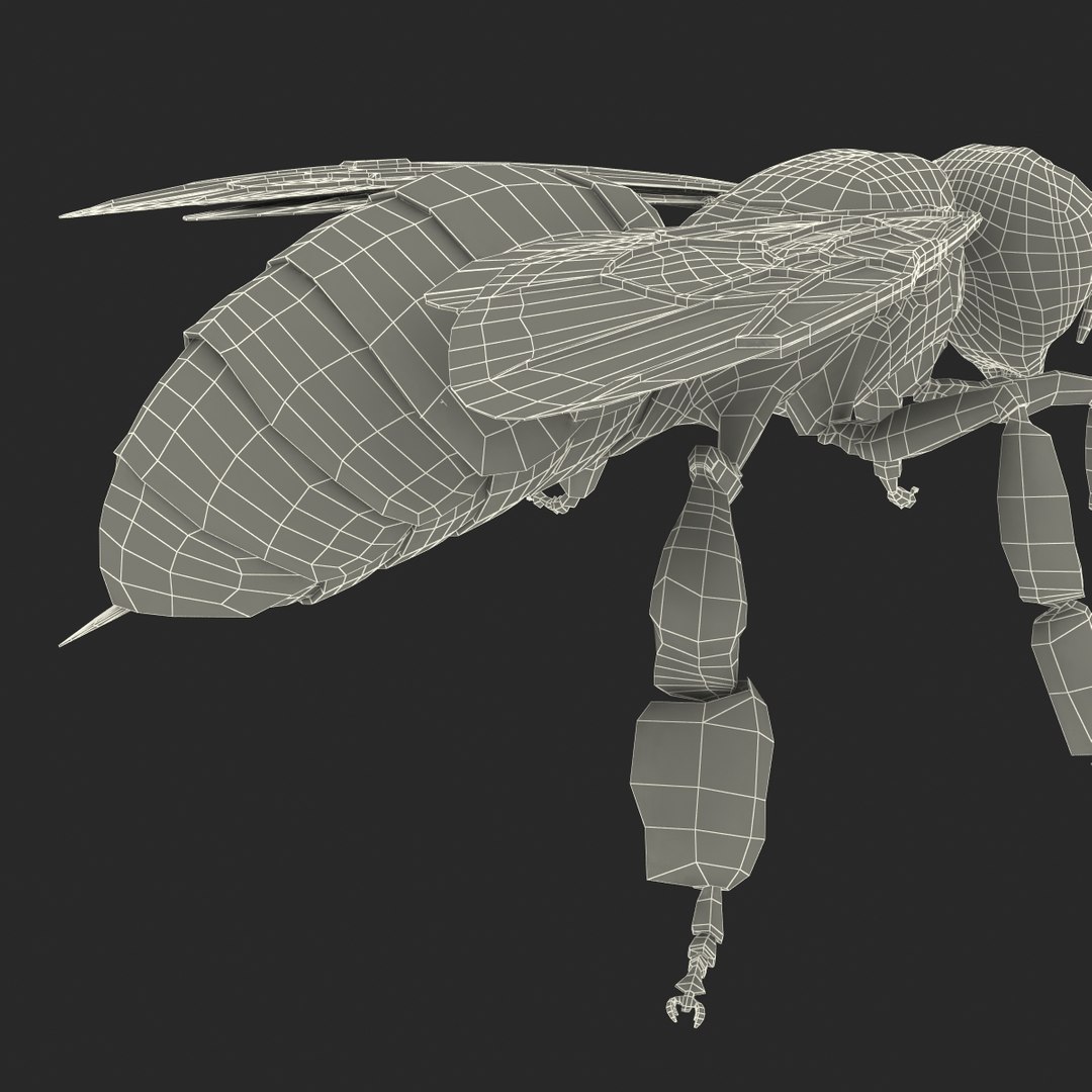 3d honey bee https://p.turbosquid.com/ts-thumb/fy/FbMddI/na88uSRF/honeybee3dmodel49/jpg/1455268688/1920x1080/fit_q87/07573b1836326135b6acfbb900c7c4f6b6e7b6d4/honeybee3dmodel49.jpg