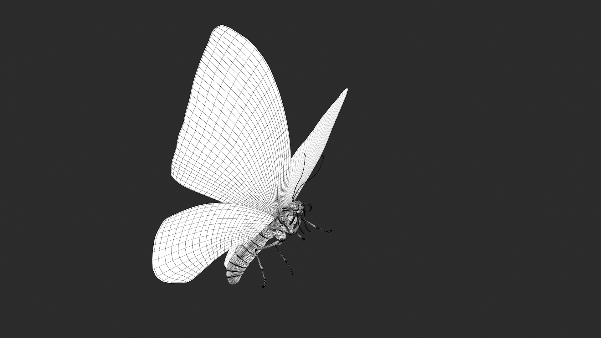 3D Animal Butterfly Insect - TurboSquid 1682187
