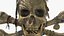Pirate Skull