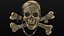 Pirate Skull