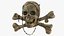 Pirate Skull