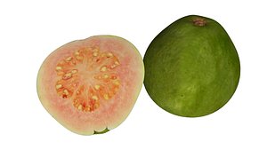 3d guavas tropical model