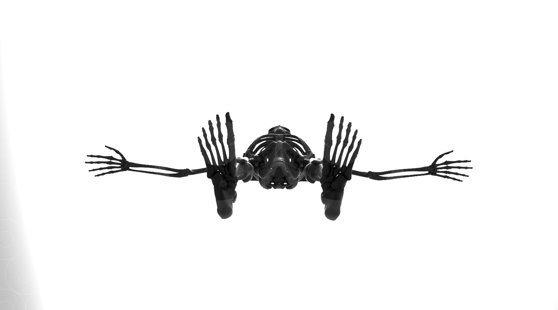3D model Skeleton - Animated https://p.turbosquid.com/ts-thumb/fy/Y7FD4a/Du/untitled.429/jpg/1693559967/1920x1080/fit_q87/1835375d07be580bf39ece7a987d60cbcd8a3cf3/untitled.429.jpg