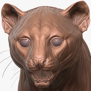3D Fully Detailed Jaguarundi Cat Zbrush Sculpt model