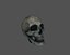 Skull LowPoly