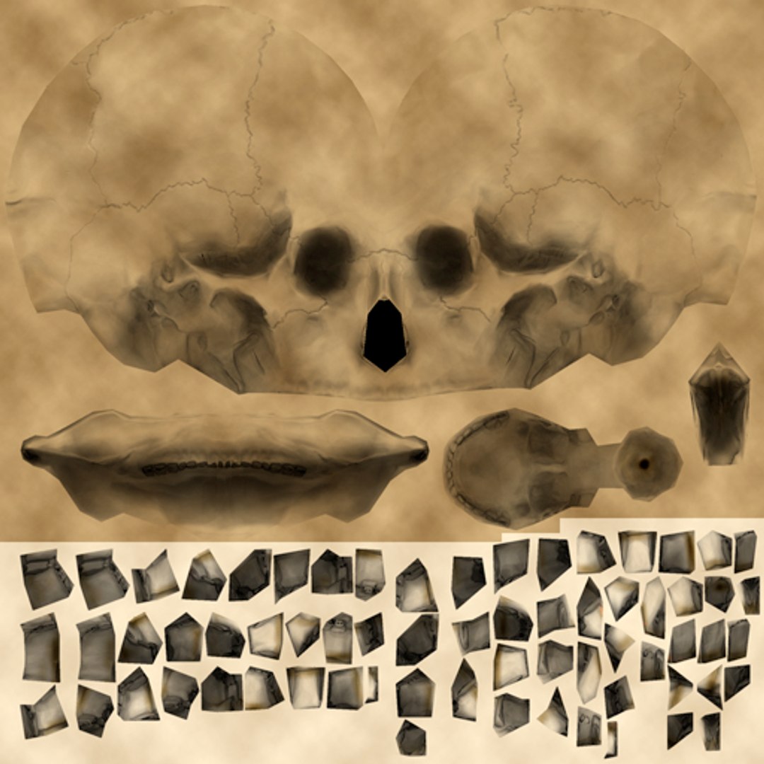 3d model skull https://p.turbosquid.com/ts-thumb/fz/2Csyac/seuRCodG/skull_d/jpg/1414431708/1920x1080/fit_q87/dece5d897fec93ac54d40184da1d299b0551278e/skull_d.jpg