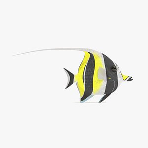 Moorish Idol
