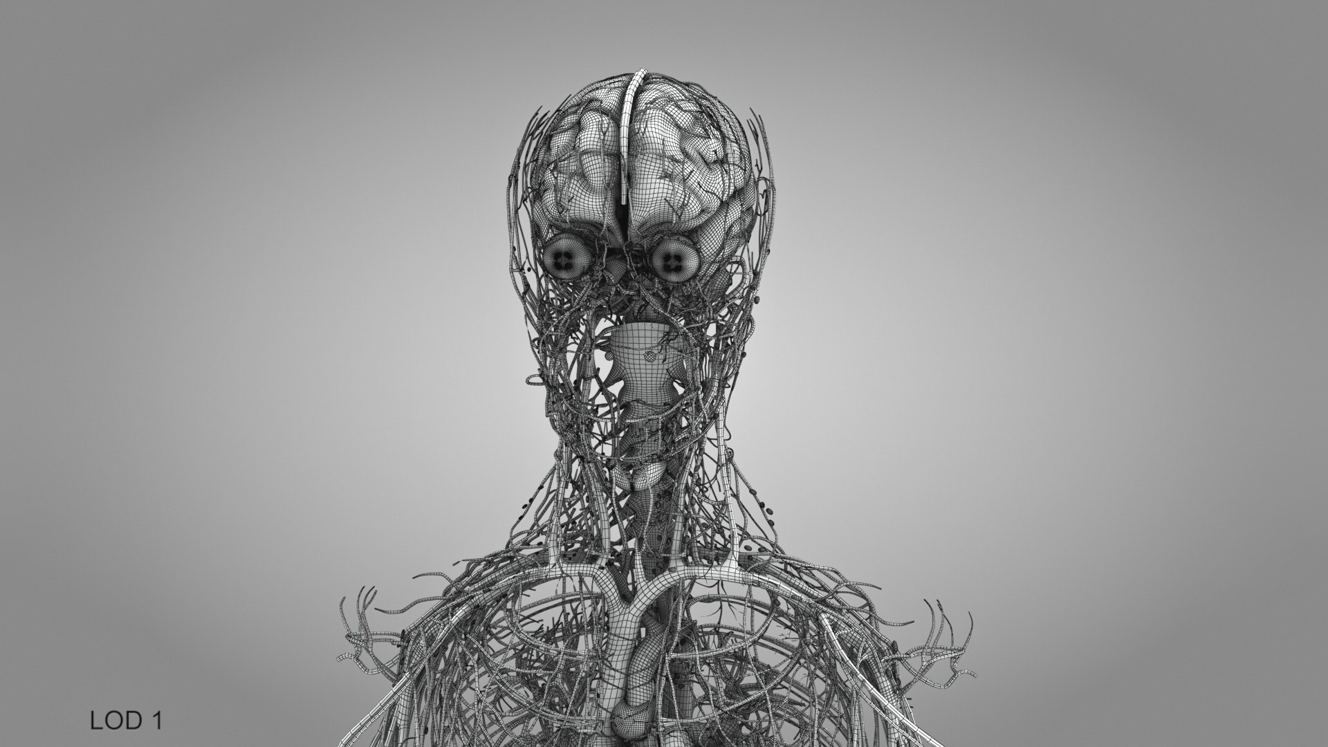 3D model Cardiovascular lymphatic nervous System https://p.turbosquid.com/ts-thumb/fz/PvZhUs/0y/cardiovascularlymphaticnervousveinsarteriesheart_00030/jpg/1657890105/1920x1080/fit_q87/8dd89b5aaf745321754c54343f3475f2b916e81a/cardiovascularlymphaticnervousveinsarteriesheart_00030.jpg