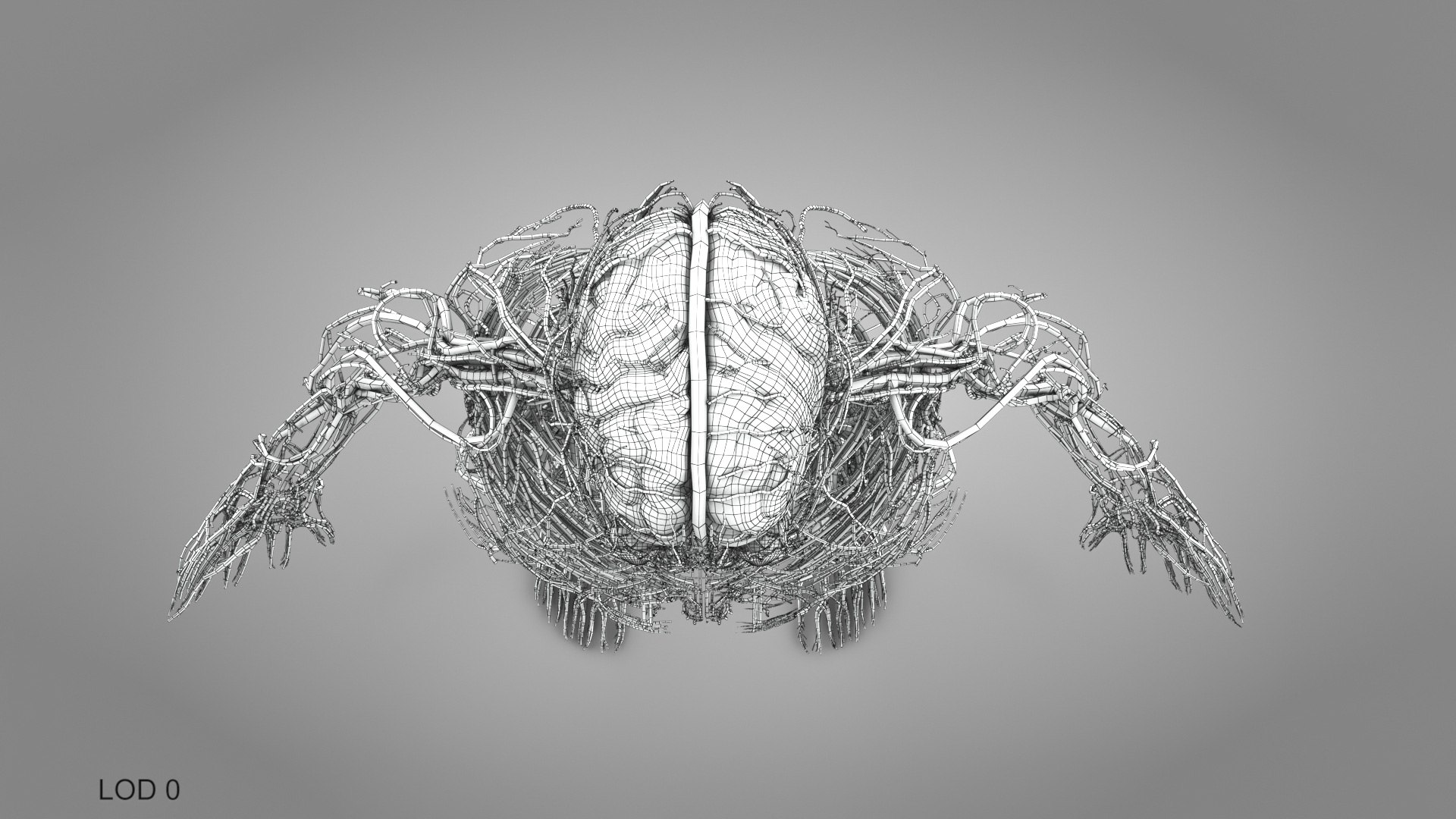 3D model Cardiovascular lymphatic nervous System https://p.turbosquid.com/ts-thumb/fz/PvZhUs/26/cardiovascularlymphaticnervousveinsarteriesheart_00025/jpg/1657890102/1920x1080/fit_q87/9e2f2937b32058db5ba01ad86756f5461119ed69/cardiovascularlymphaticnervousveinsarteriesheart_00025.jpg