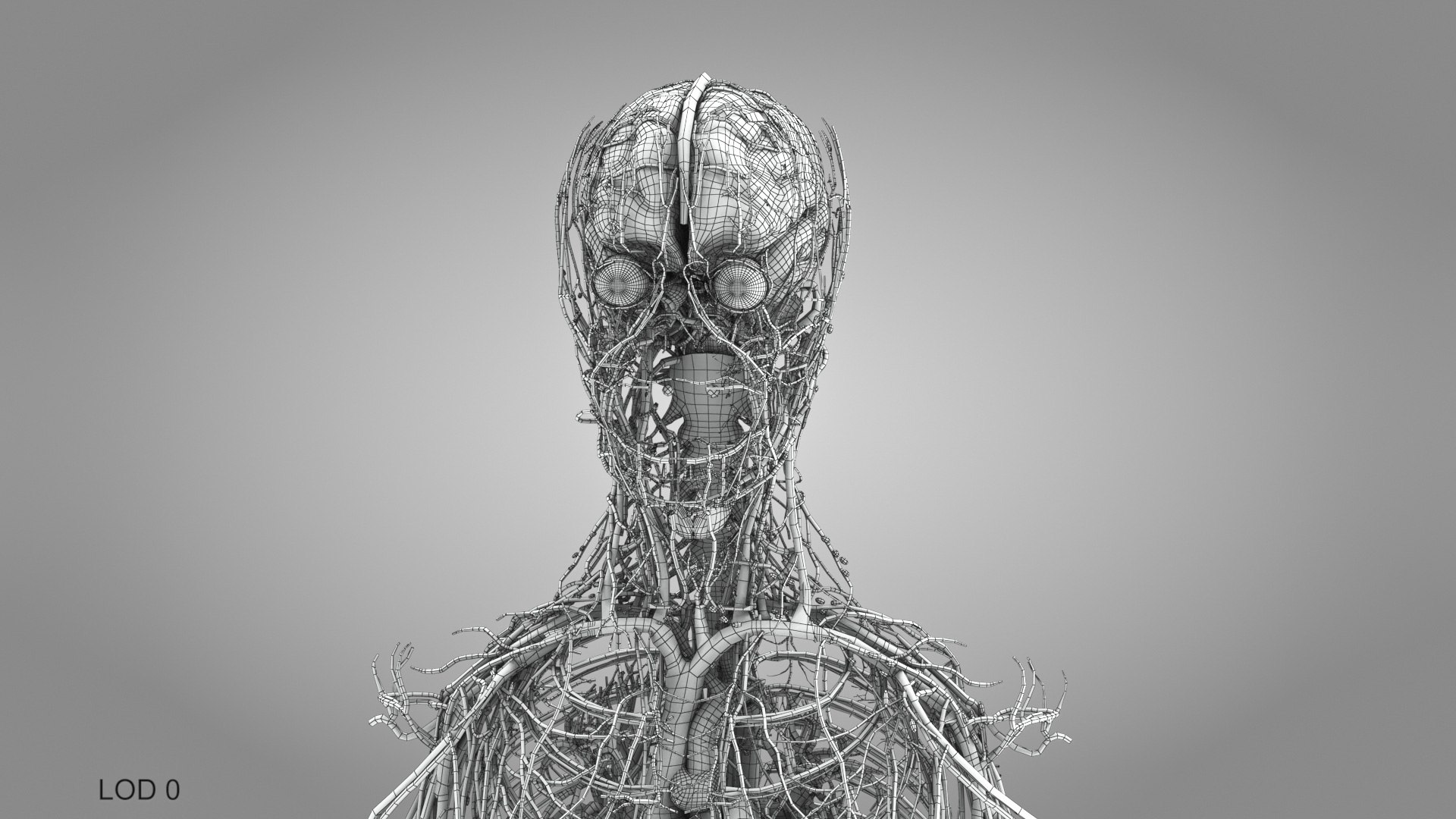 3D model Cardiovascular lymphatic nervous System https://p.turbosquid.com/ts-thumb/fz/PvZhUs/PD/cardiovascularlymphaticnervousveinsarteriesheart_00029/jpg/1657890104/1920x1080/fit_q87/63cb30703a093970452db4d10c1e5814a3754d0b/cardiovascularlymphaticnervousveinsarteriesheart_00029.jpg