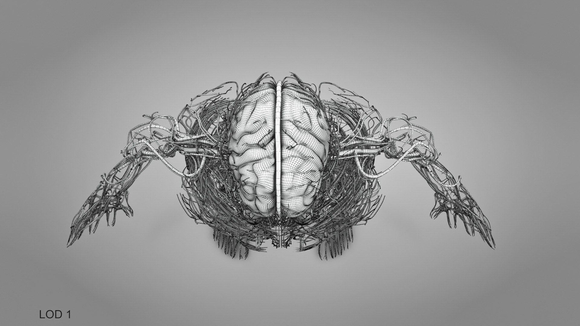 3D model Cardiovascular lymphatic nervous System https://p.turbosquid.com/ts-thumb/fz/PvZhUs/PU/cardiovascularlymphaticnervousveinsarteriesheart_00026/jpg/1657890103/1920x1080/fit_q87/5bd2ff4a6aef5a1e1d69bb4109bb5b20dee39ad3/cardiovascularlymphaticnervousveinsarteriesheart_00026.jpg