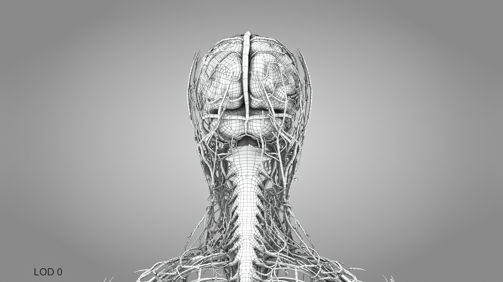 3D model Cardiovascular lymphatic nervous System https://p.turbosquid.com/ts-thumb/fz/PvZhUs/zr/cardiovascularlymphaticnervousveinsarteriesheart_00027/jpg/1657890103/1920x1080/fit_q87/47d62011ee964829df3fa33db21e3c10fdf66bf9/cardiovascularlymphaticnervousveinsarteriesheart_00027.jpg