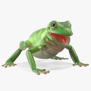 3D Realistic Tree Frog