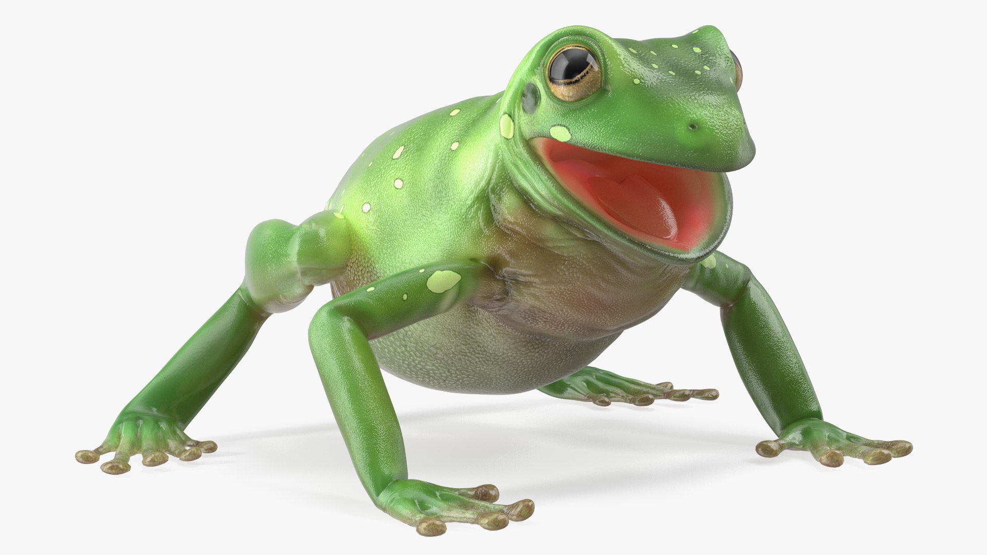 3D Realistic Tree Frog - TurboSquid 2249623