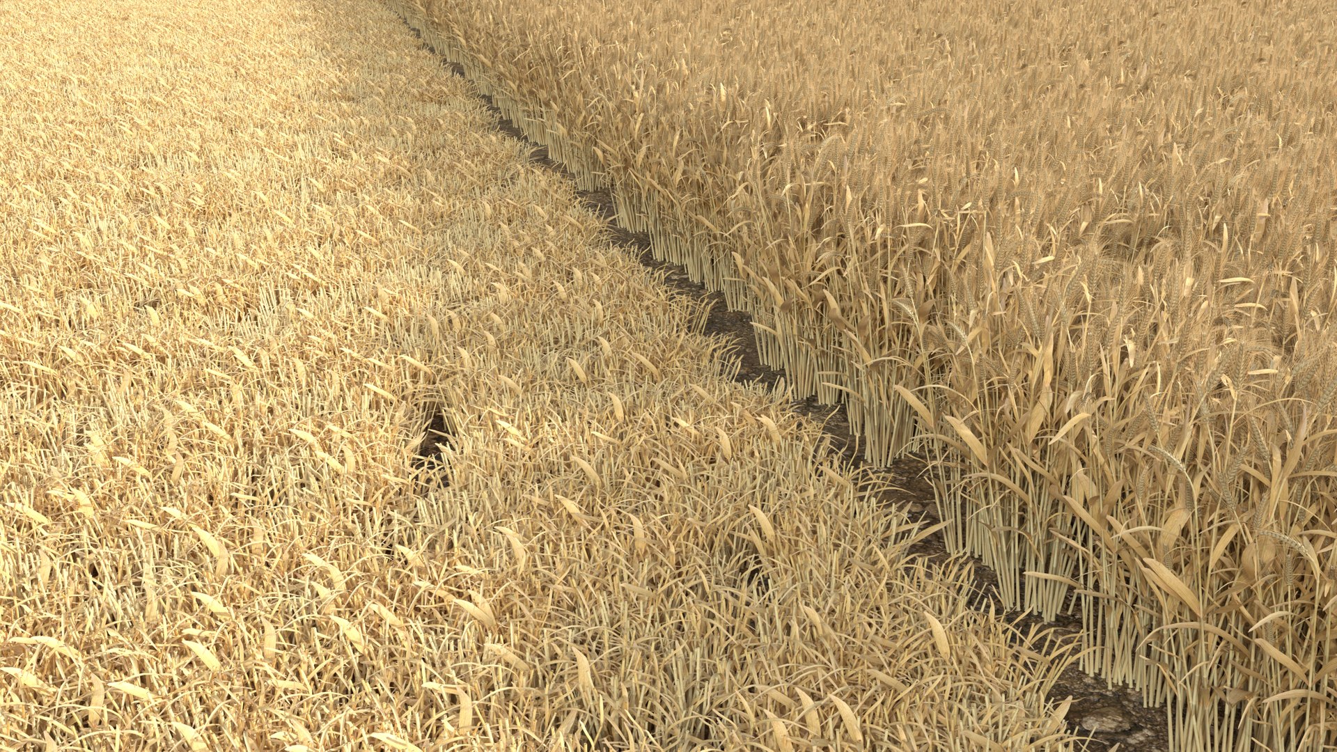 Wheat dried field model https://p.turbosquid.com/ts-thumb/fz/ZW5P6C/Dq/8/png/1747546645/1920x1080/fit_q87/6eea8f07e54e76481ed648f5542a2bad5ea9d790/8.jpg