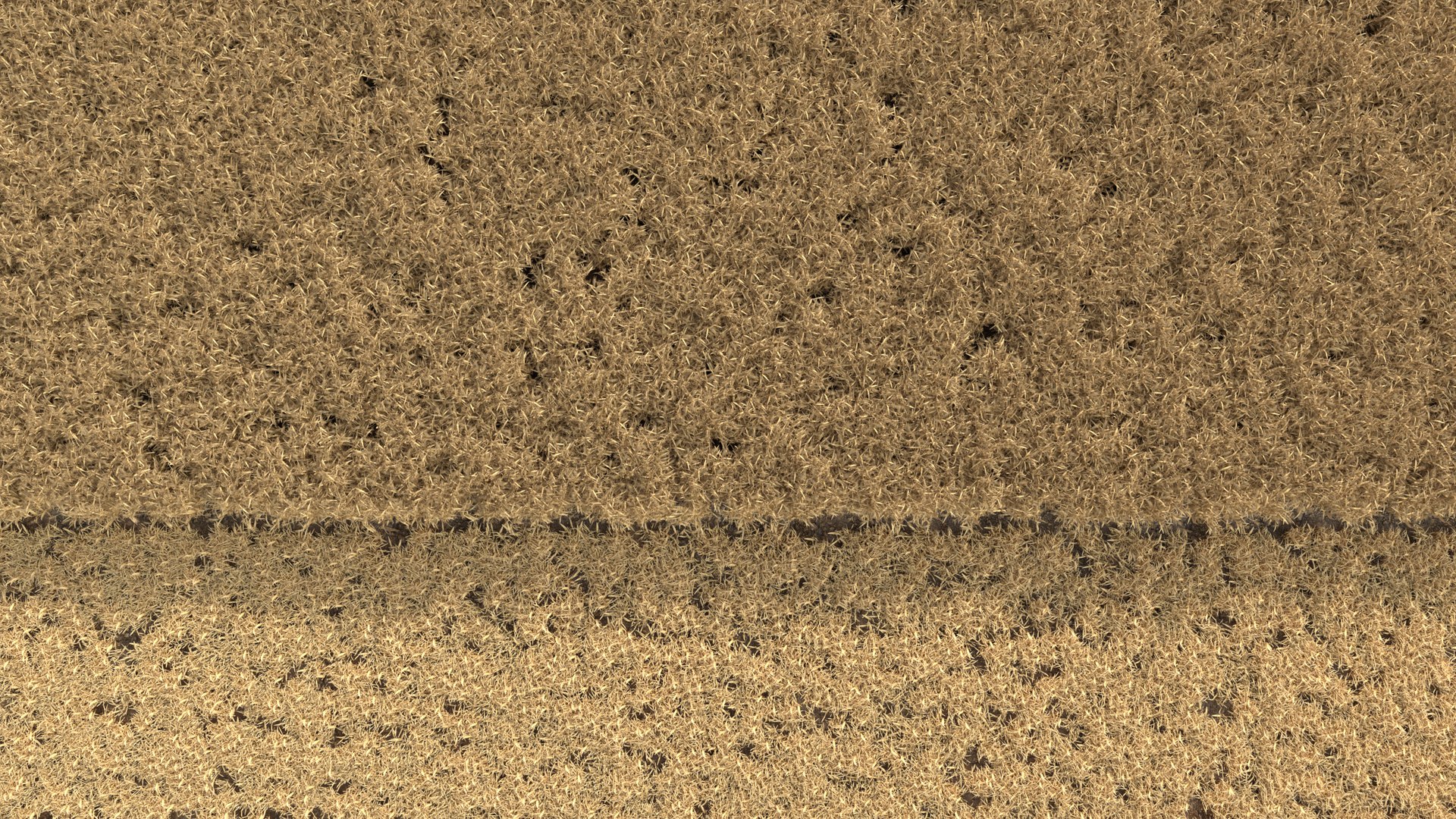 Wheat dried field model https://p.turbosquid.com/ts-thumb/fz/ZW5P6C/Q5/12/png/1747546593/1920x1080/fit_q87/5317abf8b85fa0c7c7210b5d4b839ff2e5485fa9/12.jpg