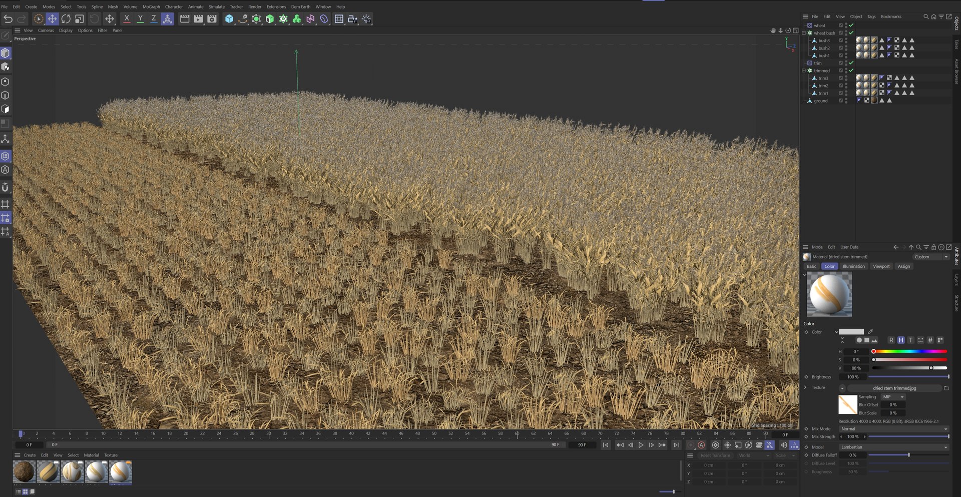 Wheat dried field model https://p.turbosquid.com/ts-thumb/fz/ZW5P6C/Vb/c4d/jpg/1747546614/1920x1080/fit_q87/35b319cec42c58ca4433d2a2c1d227514f247178/c4d.jpg