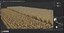 Wheat dried field