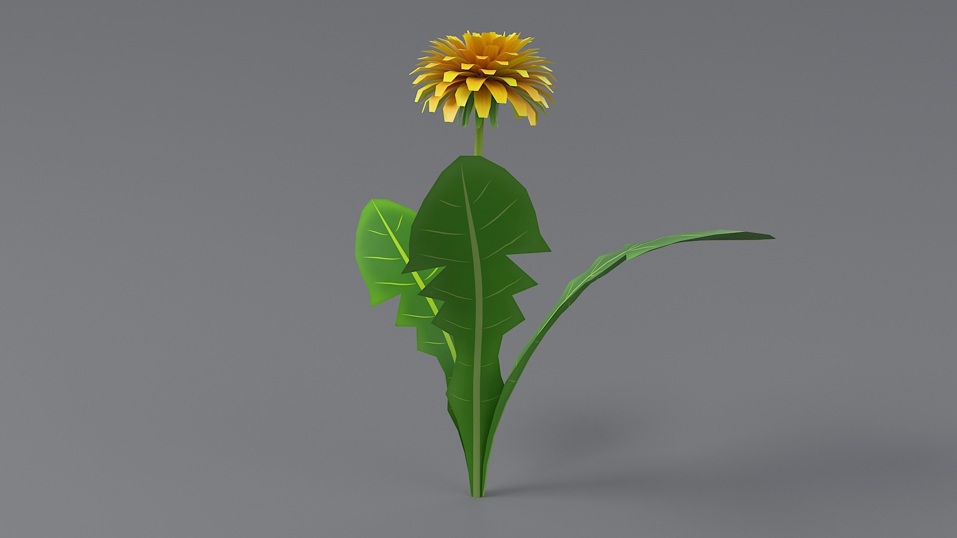 3D Cartoon Dandelion 02 https://p.turbosquid.com/ts-thumb/fz/aqQINw/Wa/dandeliontwo_0005/jpg/1680000105/1920x1080/fit_q87/d66b51e3d3d33f23ef2d830216c854692ce732f7/dandeliontwo_0005.jpg