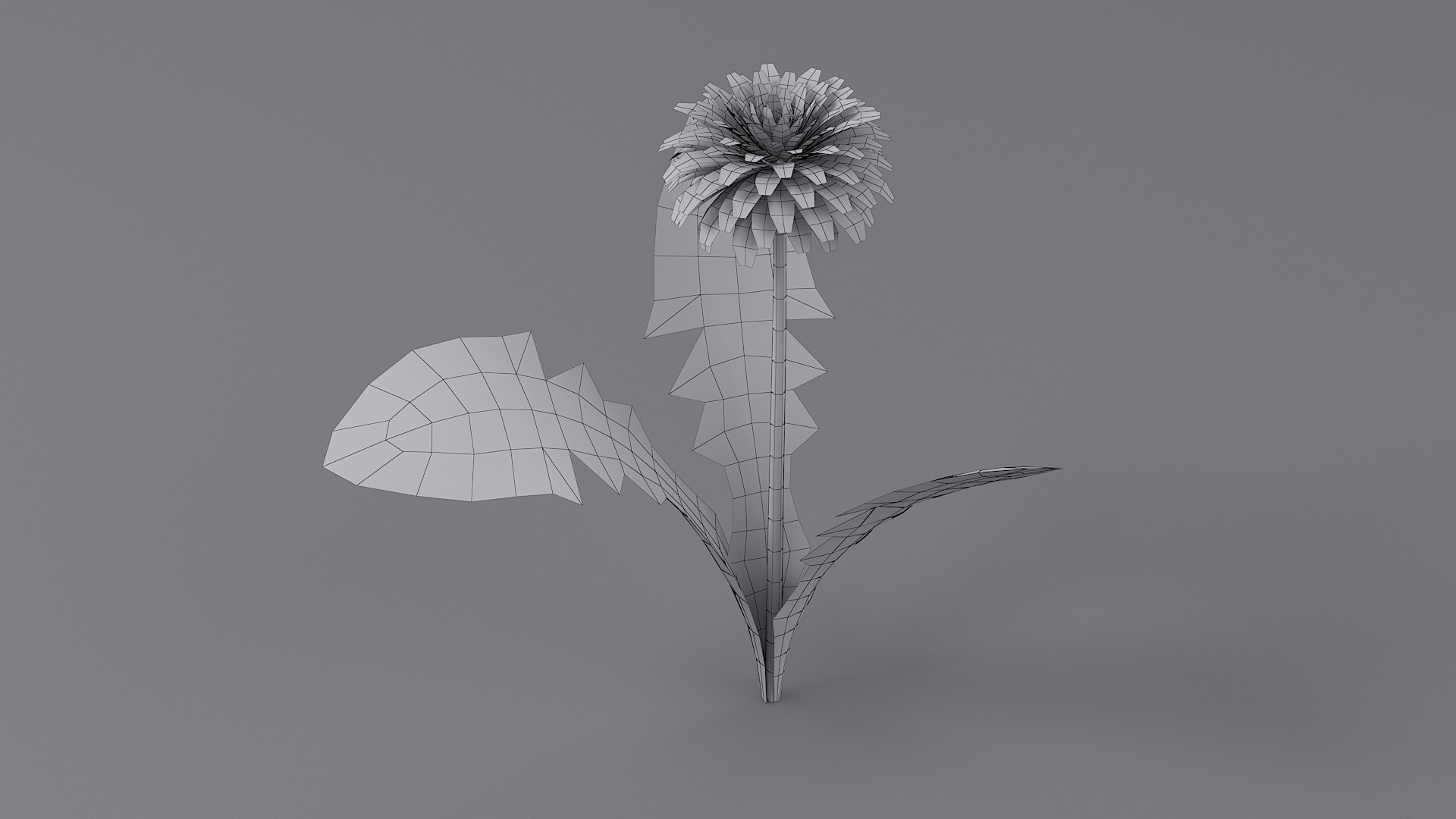 3D Cartoon Dandelion 02 https://p.turbosquid.com/ts-thumb/fz/aqQINw/b0/dandeliontwo_0013/jpg/1680000109/1920x1080/fit_q87/259a4105e72b7a1dcd5f3535c15e9a8478f0915d/dandeliontwo_0013.jpg