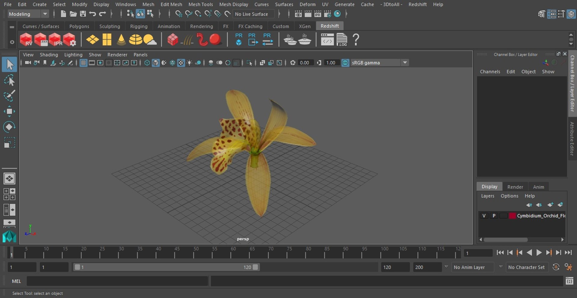 3D Cymbidium Orchid Flower Yellow model https://p.turbosquid.com/ts-thumb/fz/bvs5IW/2m/cymbidiumorchidfloweryellow3dmodel023/jpg/1637774334/1920x1080/fit_q87/1e60bc888f7a1cfe60a8e3cb147b08ab8eb563ac/cymbidiumorchidfloweryellow3dmodel023.jpg