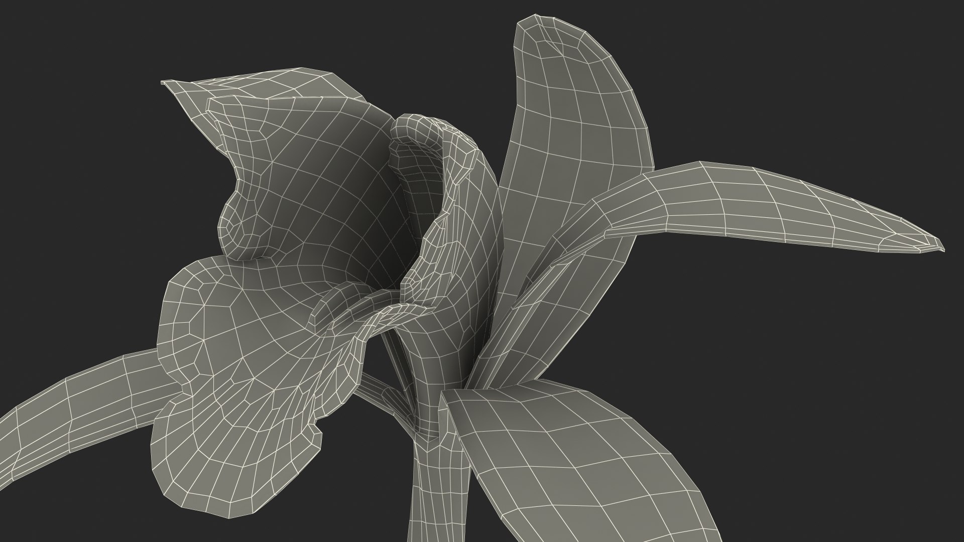3D Cymbidium Orchid Flower Yellow model https://p.turbosquid.com/ts-thumb/fz/bvs5IW/4S/cymbidiumorchidfloweryellow3dmodel027/jpg/1637774344/1920x1080/fit_q87/2818ce8020957346d9015f84ee80c76515dfc87d/cymbidiumorchidfloweryellow3dmodel027.jpg