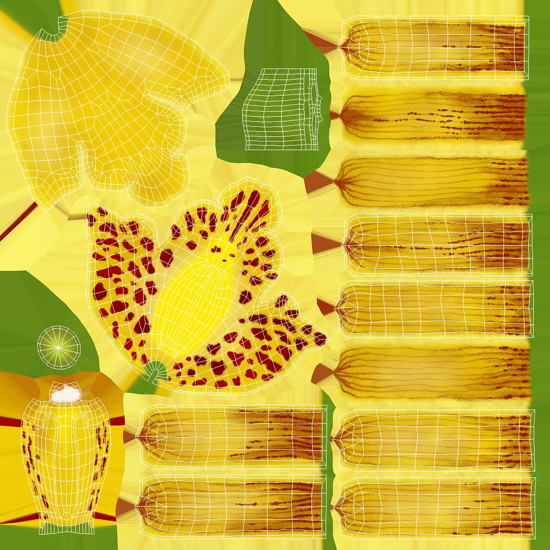 3D Cymbidium Orchid Flower Yellow model https://p.turbosquid.com/ts-thumb/fz/bvs5IW/Mv/cymbidiumorchidfloweryellow3dmodel018/jpg/1637774319/1920x1080/fit_q87/3f2d4146bfdb96ae8066811c8f6de041c97fcf27/cymbidiumorchidfloweryellow3dmodel018.jpg