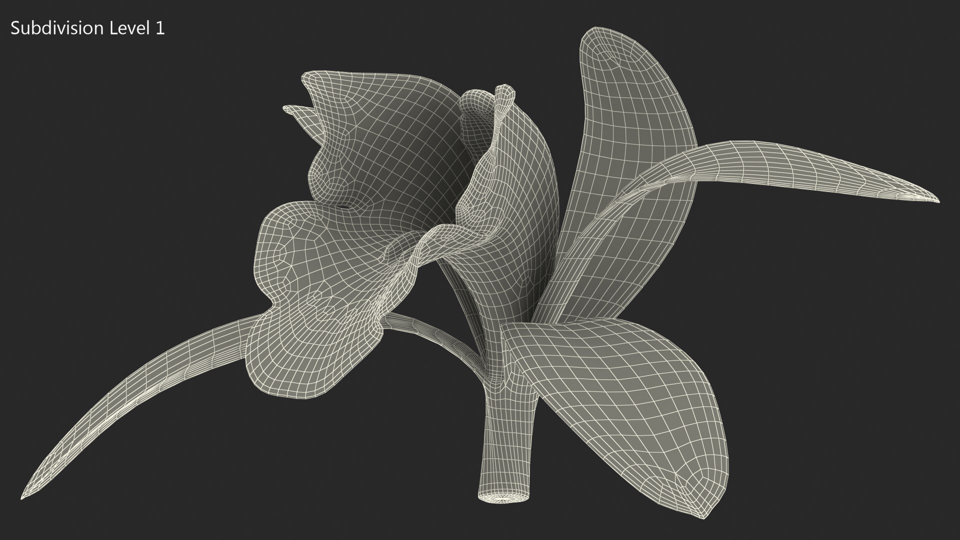 3D Cymbidium Orchid Flower Yellow model https://p.turbosquid.com/ts-thumb/fz/bvs5IW/cL/cymbidiumorchidfloweryellow3dmodel017/jpg/1637774316/1920x1080/fit_q87/f2dc50d38e9c37f6783006671a8daf5e6ef13bfc/cymbidiumorchidfloweryellow3dmodel017.jpg