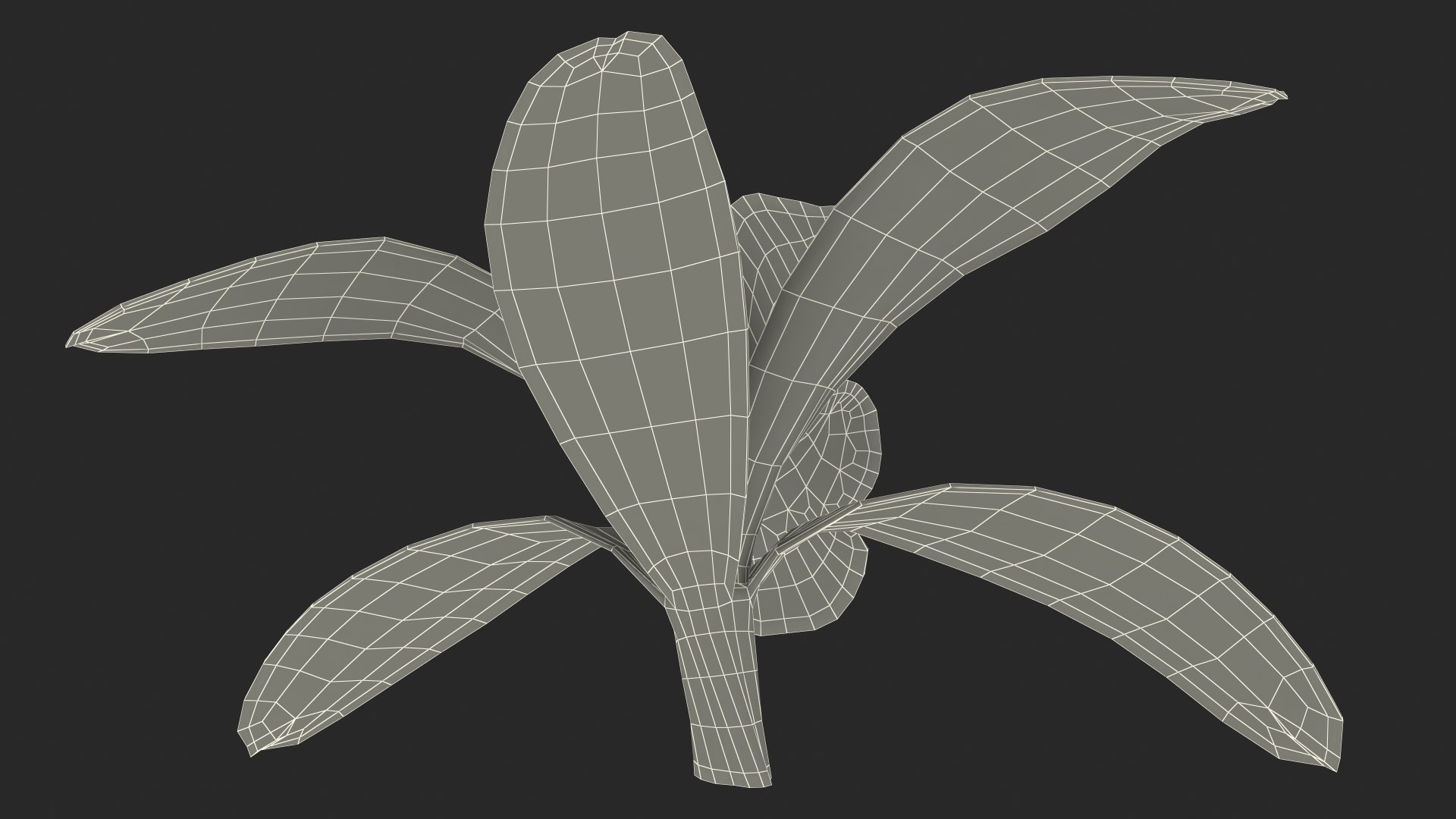 3D Cymbidium Orchid Flower Yellow model https://p.turbosquid.com/ts-thumb/fz/bvs5IW/db/cymbidiumorchidfloweryellow3dmodel025/jpg/1637774340/1920x1080/fit_q87/faa49d31089fdd30f3eb77c8f43b37204ef2f977/cymbidiumorchidfloweryellow3dmodel025.jpg