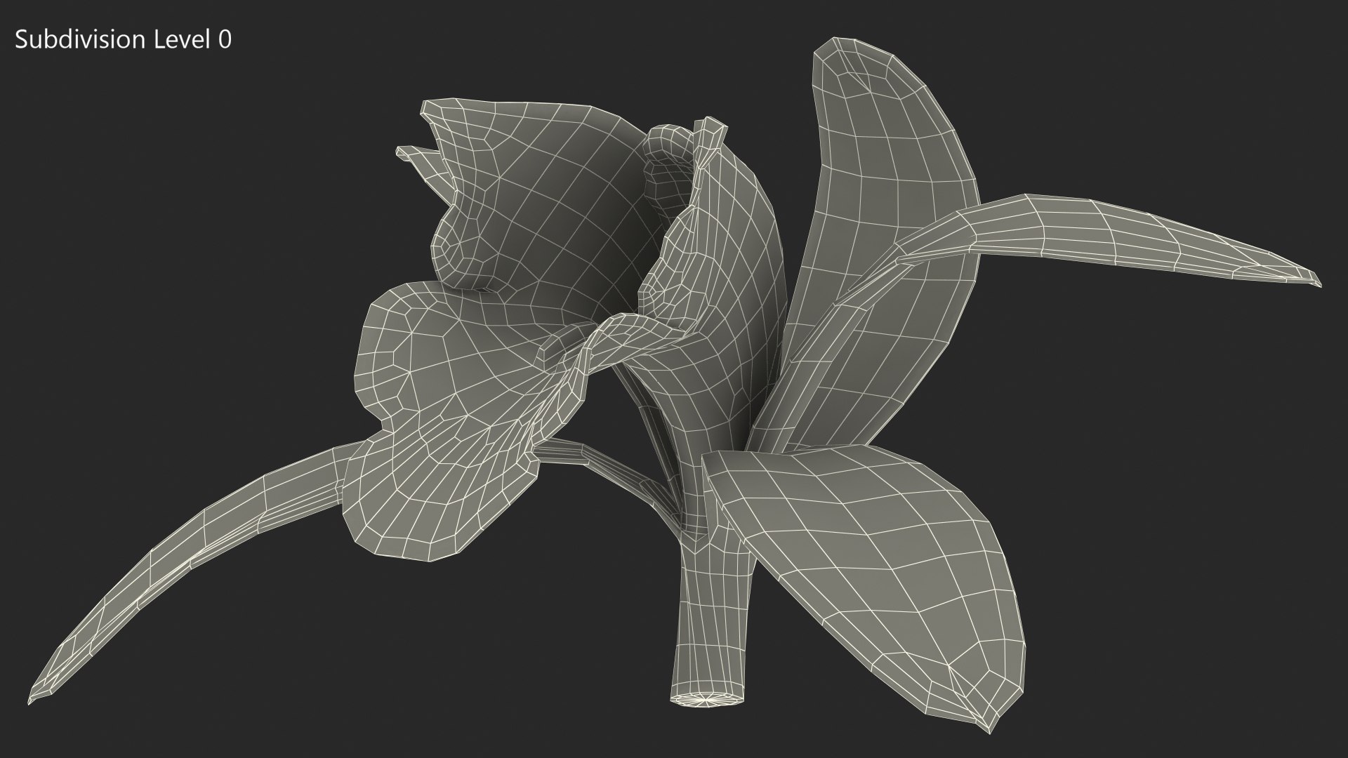 3D Cymbidium Orchid Flower Yellow model https://p.turbosquid.com/ts-thumb/fz/bvs5IW/df/cymbidiumorchidfloweryellow3dmodel016/jpg/1637774313/1920x1080/fit_q87/b39b519e27d698495998ce2c2eda502221b4d464/cymbidiumorchidfloweryellow3dmodel016.jpg