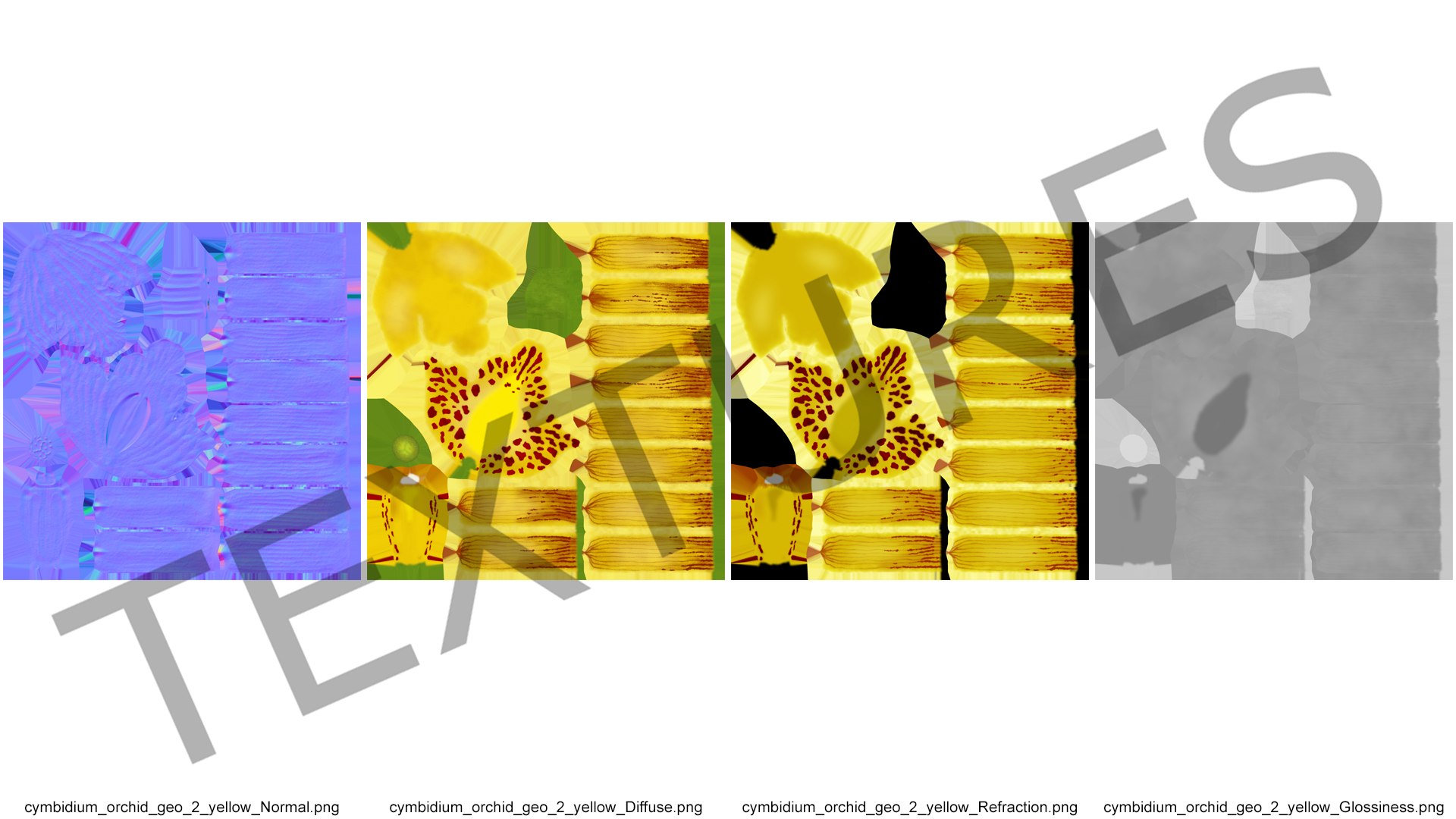 3D Cymbidium Orchid Flower Yellow model https://p.turbosquid.com/ts-thumb/fz/bvs5IW/jL/cymbidiumorchidfloweryellow3dmodel019/jpg/1637774322/1920x1080/fit_q87/47436a1a622986a38d52e6f7adbe605751fe37bc/cymbidiumorchidfloweryellow3dmodel019.jpg