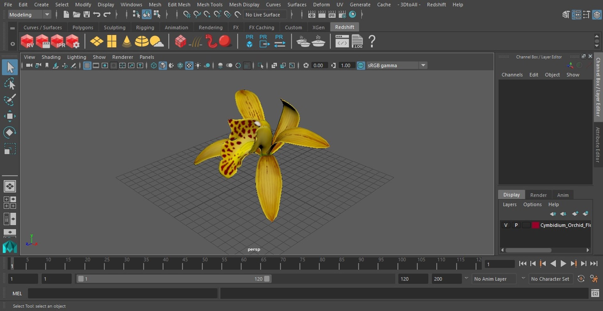 3D Cymbidium Orchid Flower Yellow model https://p.turbosquid.com/ts-thumb/fz/bvs5IW/jr/cymbidiumorchidfloweryellow3dmodel024/jpg/1637774337/1920x1080/fit_q87/cd86a7ccbbc6b286f101538a2f7bf88572f348b1/cymbidiumorchidfloweryellow3dmodel024.jpg