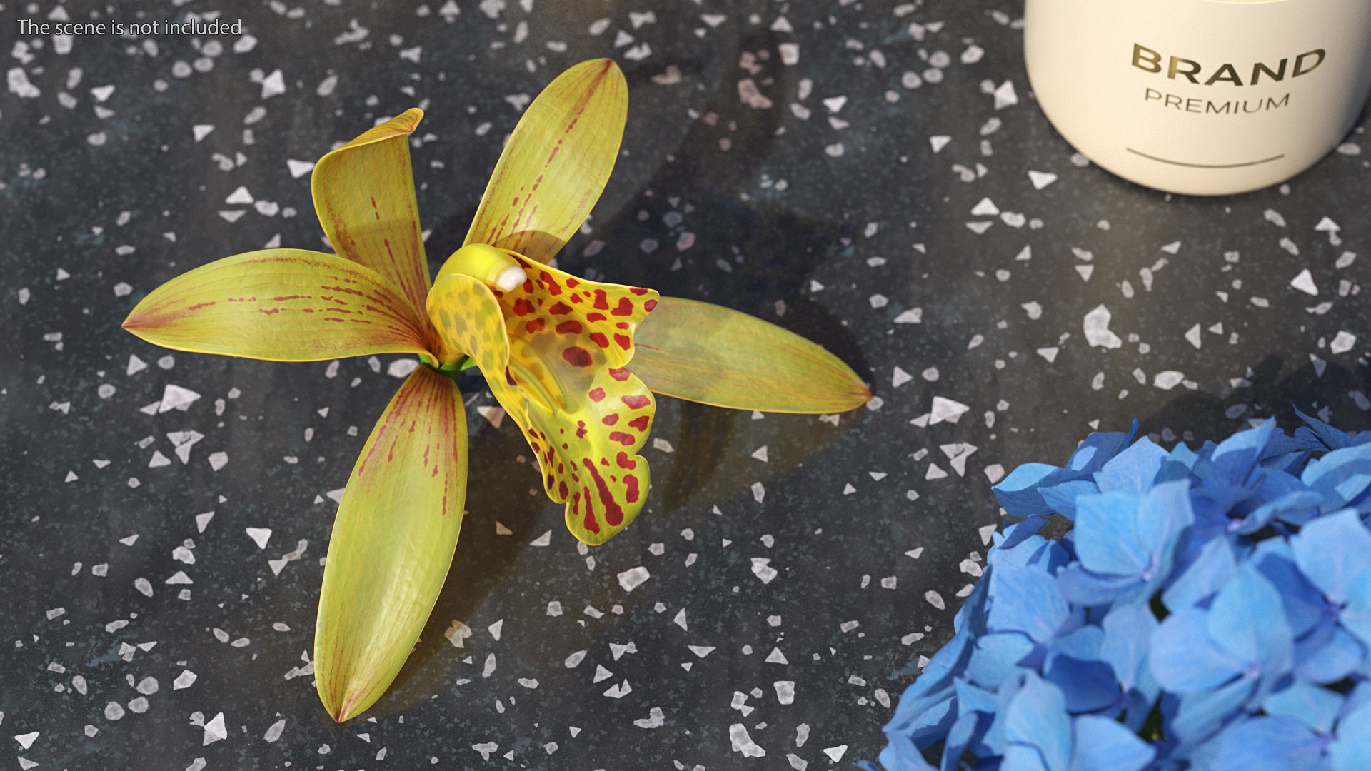3D Cymbidium Orchid Flower Yellow model https://p.turbosquid.com/ts-thumb/fz/bvs5IW/jz/cymbidiumorchidfloweryellow3dmodel003/jpg/1637774276/1920x1080/fit_q87/2d161e85b4068448121b2032553c9794829fb7a8/cymbidiumorchidfloweryellow3dmodel003.jpg
