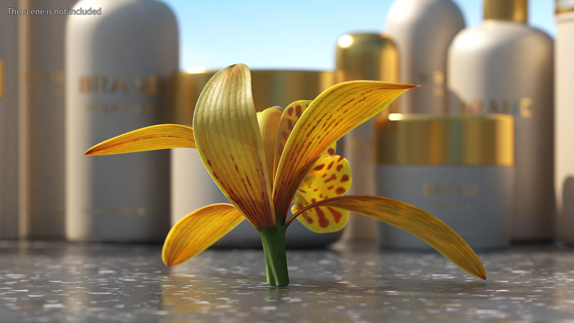 3D Cymbidium Orchid Flower Yellow model https://p.turbosquid.com/ts-thumb/fz/bvs5IW/x5/cymbidiumorchidfloweryellow3dmodel004/jpg/1637774279/1920x1080/fit_q87/d974b1202da0dbd2863ee2da68c581354c75d707/cymbidiumorchidfloweryellow3dmodel004.jpg