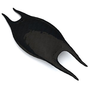mermaid's purse
