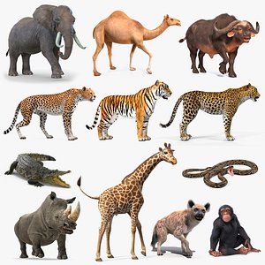 Rigged African Animals Collection 9 for Maya